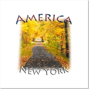 America - New York State fall colours Posters and Art